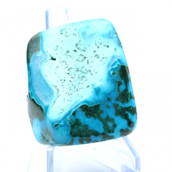 Chrysocolle polie du Congo