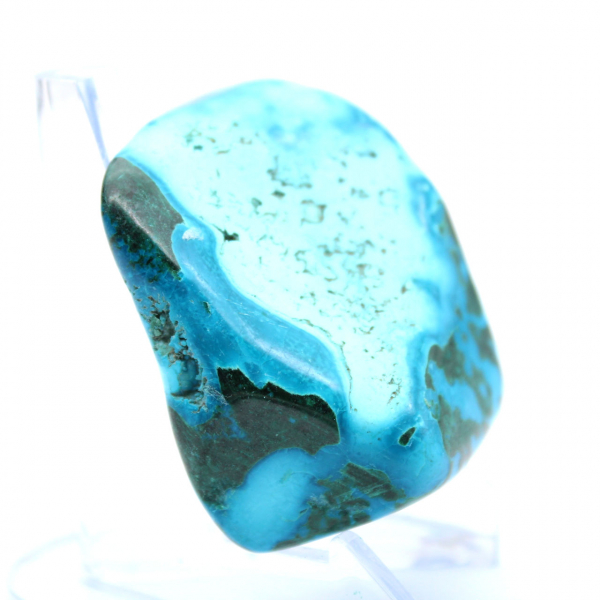 Chrysocolle polie du Congo