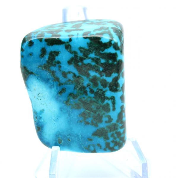Chrysocolle polie du Congo