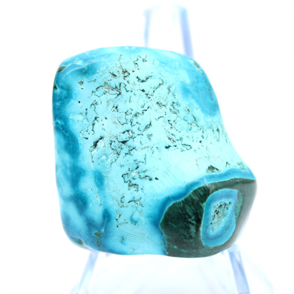 Forme libre Chrysocolle polie