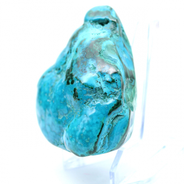 Chrysocolle polie du Congo collection