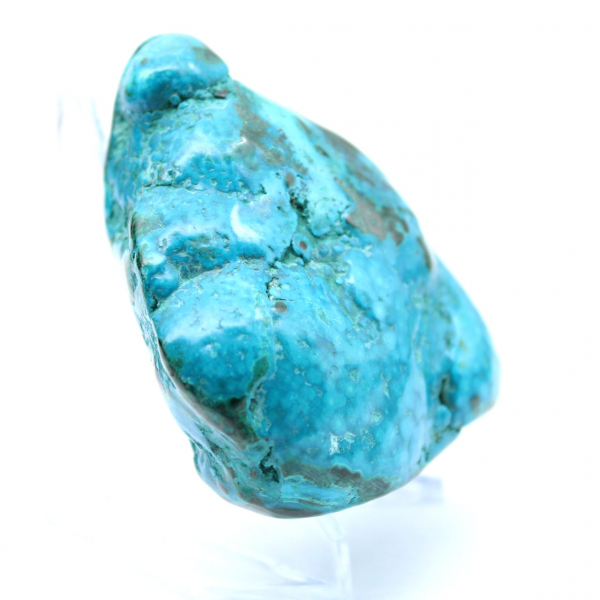 Chrysocolle polie du Congo collection