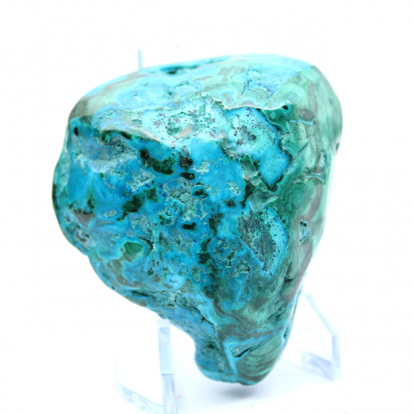 Chrysocolle polie du Congo collection