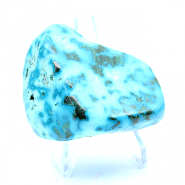 Chrysocolle polie de collection Congo