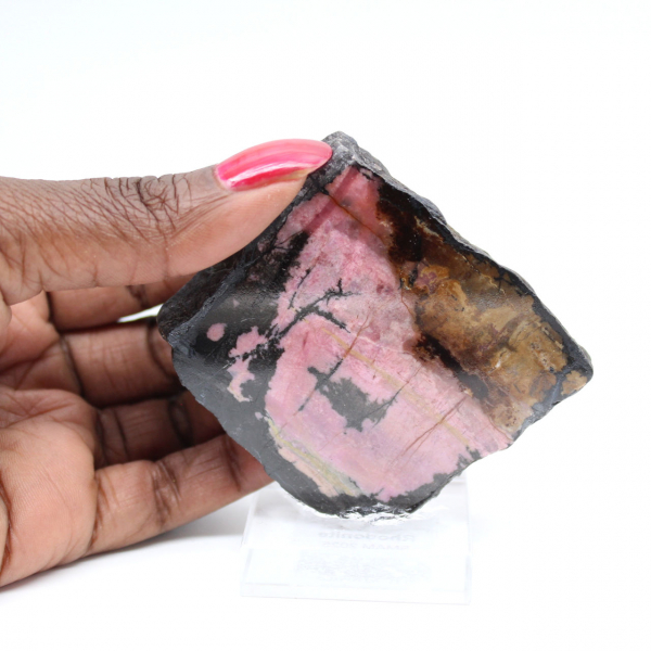Tranche de Rhodonite naturelle pour collection de minéraux