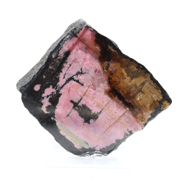 Tranche de Rhodonite naturelle pour collection de minéraux