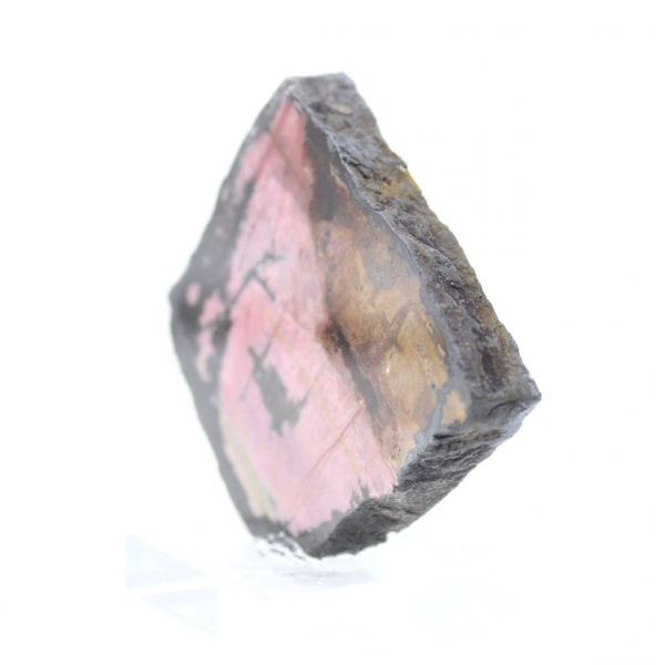 Tranche de Rhodonite naturelle pour collection de minéraux