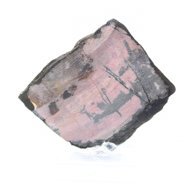 Tranche de Rhodonite naturelle pour collection de minéraux