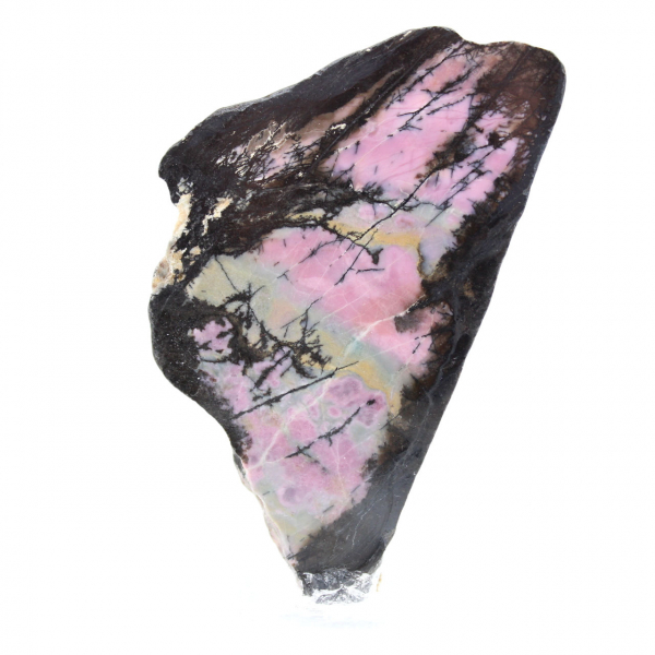 Tranche de Rhodonite naturelle pour collection de minéraux