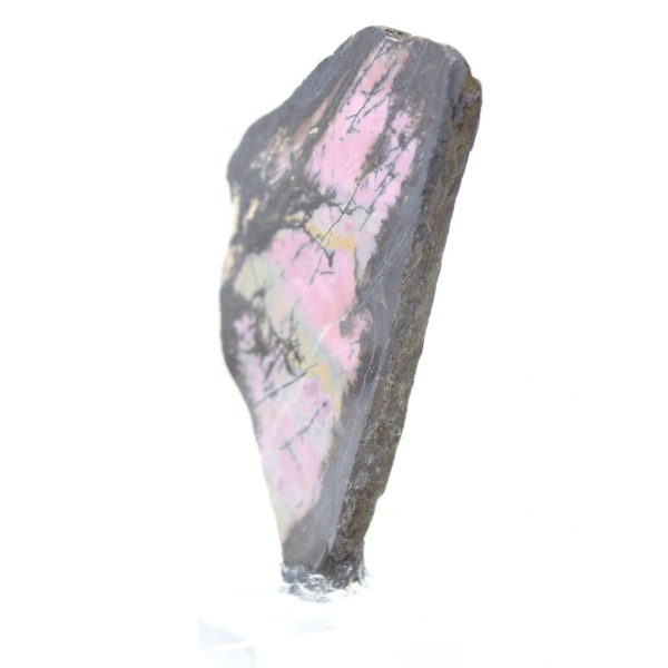 Tranche de Rhodonite naturelle pour collection de minéraux