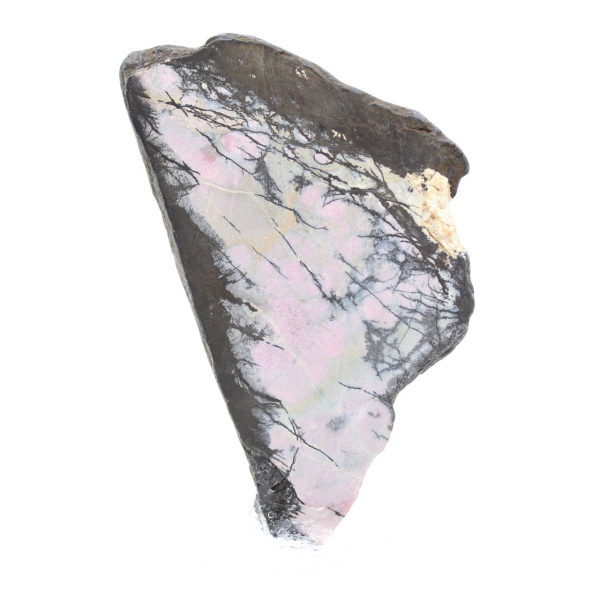 Tranche de Rhodonite naturelle pour collection de minéraux