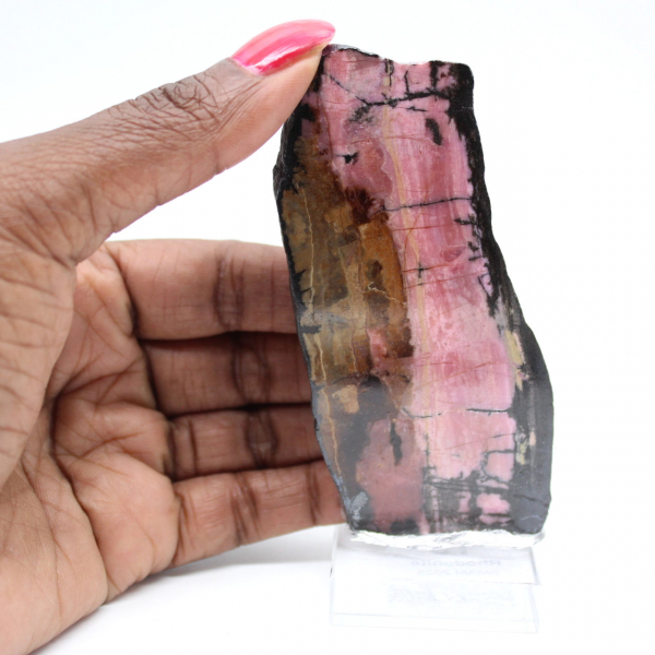 Rhodonite tranche polie de qualité pour décoration