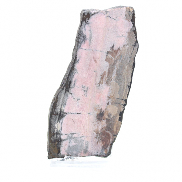 Rhodonite tranche polie de qualité pour décoration