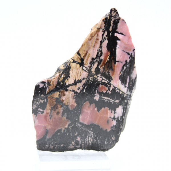 Tranche de Rhodonite naturelle pour collection de minéraux