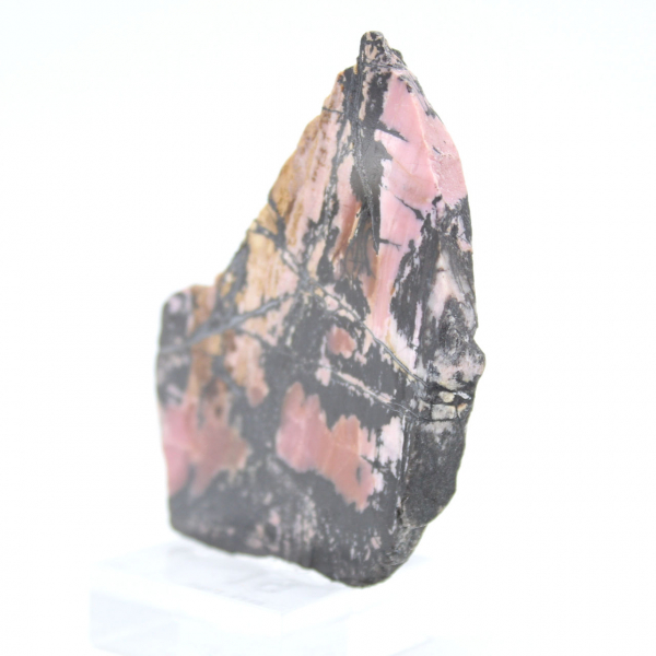 Tranche de Rhodonite naturelle pour collection de minéraux