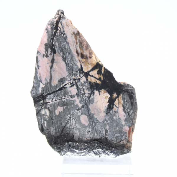 Tranche de Rhodonite naturelle pour collection de minéraux