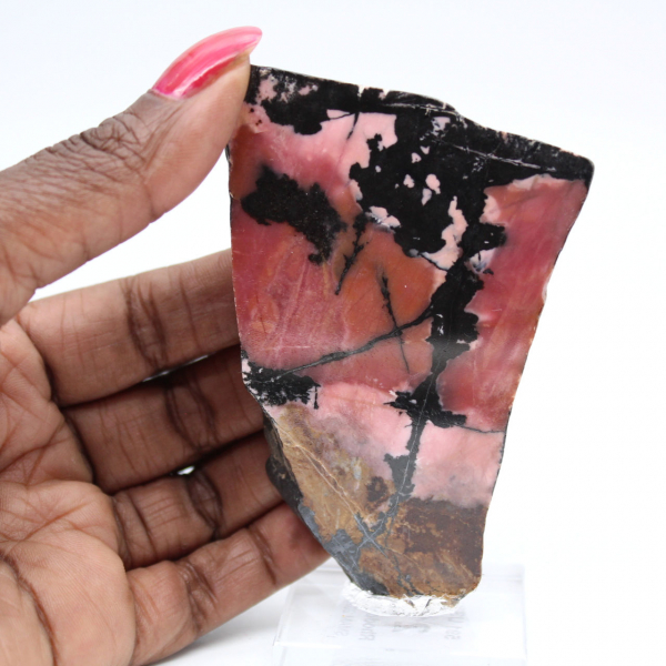 Rhodonite tranche polie de qualité pour décoration