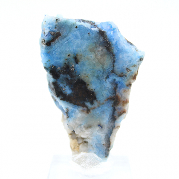 Tranche d’Azurite Malachite pour collection minérale