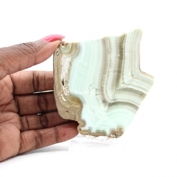 Tranche d’Aragonite verte pour collection de minéraux