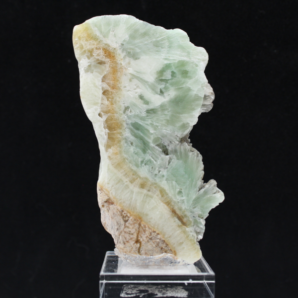 Tranche d’Aragonite verte pour collection de minéraux