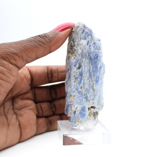 Cristaux de Cyanite