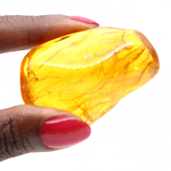 Galet poli d'Ambre jaune – Pierre Fossile pour Décoration