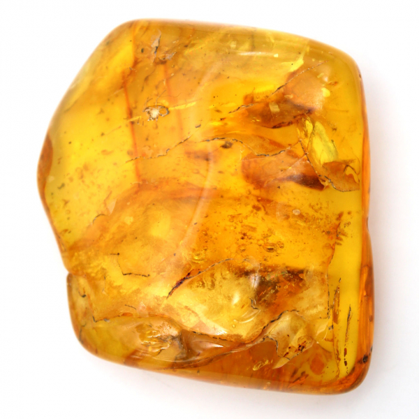 Pierre d'Ambre jaune de la Baltique – Galet pour Collection
