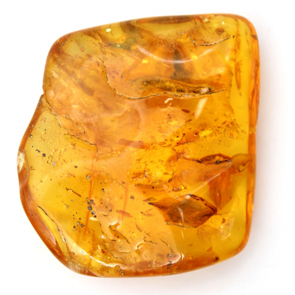 Pierre d'Ambre jaune de la Baltique – Galet pour Collection