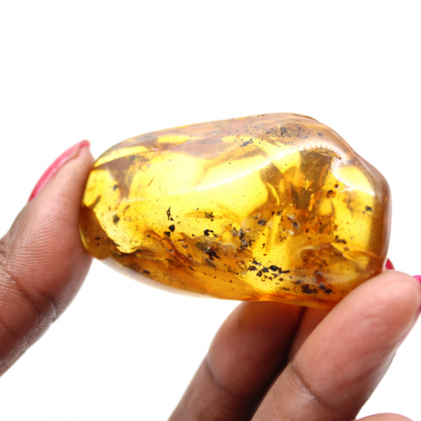 Galet Ambre jaune pour décoration et spécimen scientifique