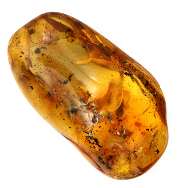 Galet Ambre jaune pour décoration et spécimen scientifique