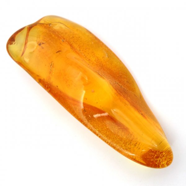 Ambre jaune véritable de la Baltique – Galet pour minéralogie