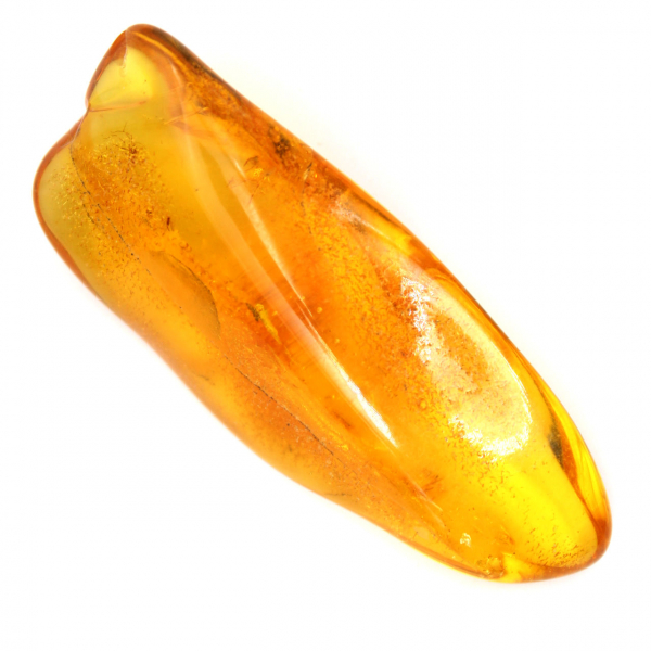 Ambre jaune véritable de la Baltique – Galet pour minéralogie