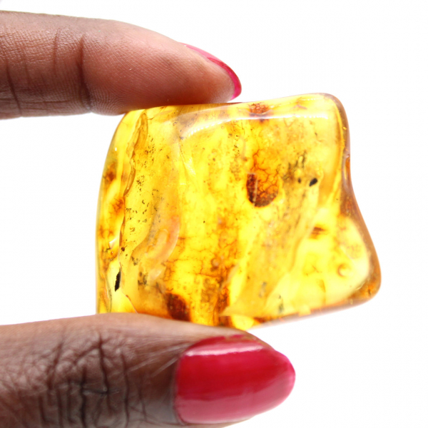 Résine fossile Ambre jaune Baltique – Galet pour amateur
