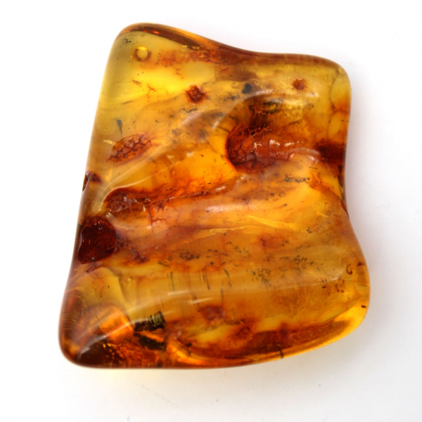 Résine fossile Ambre jaune Baltique – Galet pour amateur