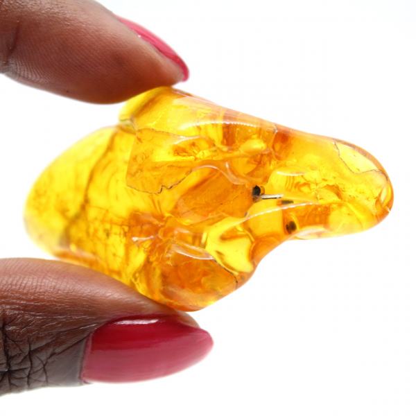 Galet Ambre jaune, pierre naturelle de collection Lituanie