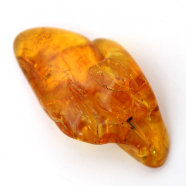 Galet Ambre jaune, pierre naturelle de collection Lituanie