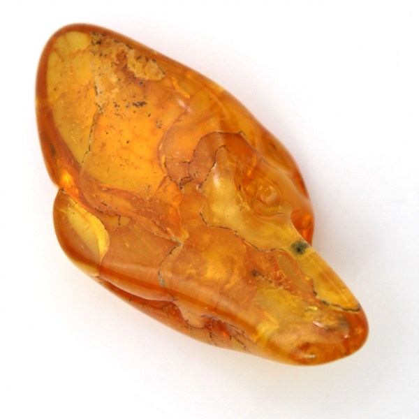 Galet Ambre jaune, pierre naturelle de collection Lituanie