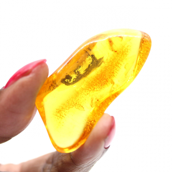 Ambre jaune fossile de la Baltique – Galet authentique