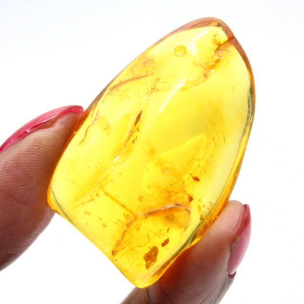 Ambre jaune Galet – Spécimen de la Baltique, objet authentique