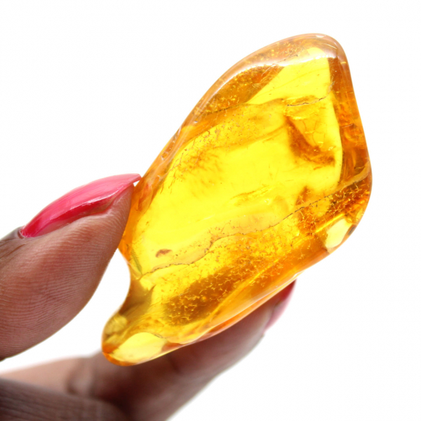 Galet Ambre jaune de Lituanie pour collection de fossiles