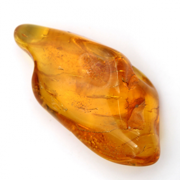 Galet Ambre jaune de Lituanie pour collection de fossiles