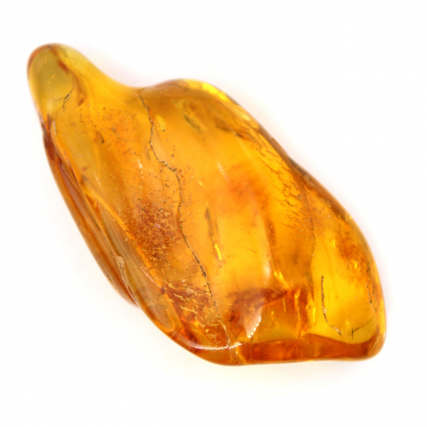 Galet Ambre jaune de Lituanie pour collection de fossiles