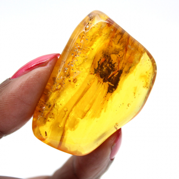 Ambre jaune Baltique – Objet Galet pour la minéralogie
