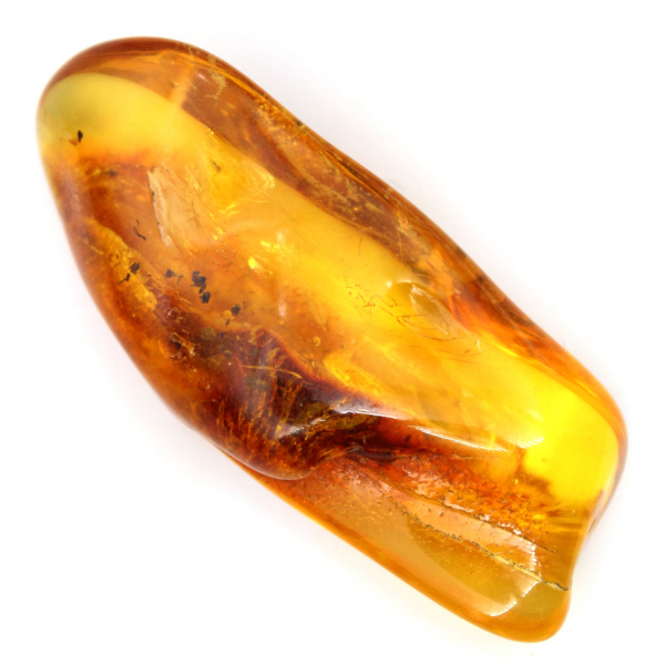 Galet poli Ambre jaune – Spécimen de collection Lituanie
