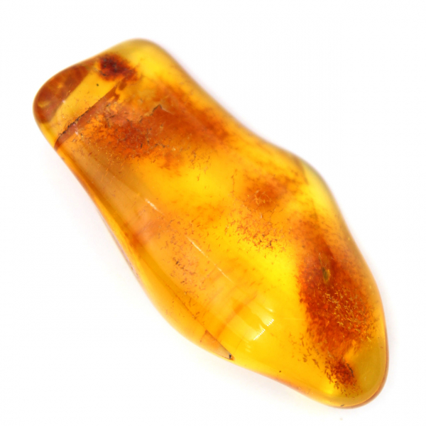 Ambre jaune de la Baltique – Galet authentique pour Décoration