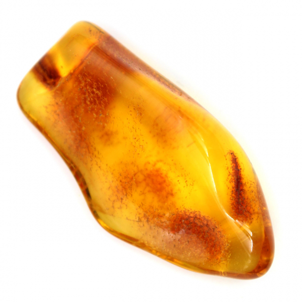 Ambre jaune de la Baltique – Galet authentique pour Décoration