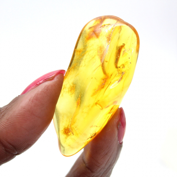 Ambre Jaune de Lituanie – Galet naturel, Spécimen Collection