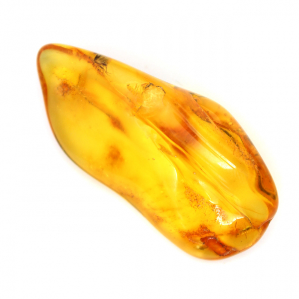 Ambre Jaune de Lituanie – Galet naturel, Spécimen Collection