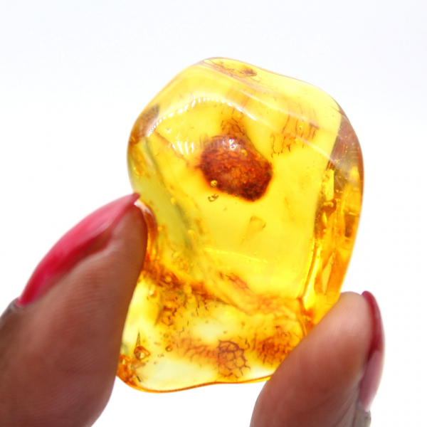 Petit Galet Ambre jaune – Objet de Collection fossile