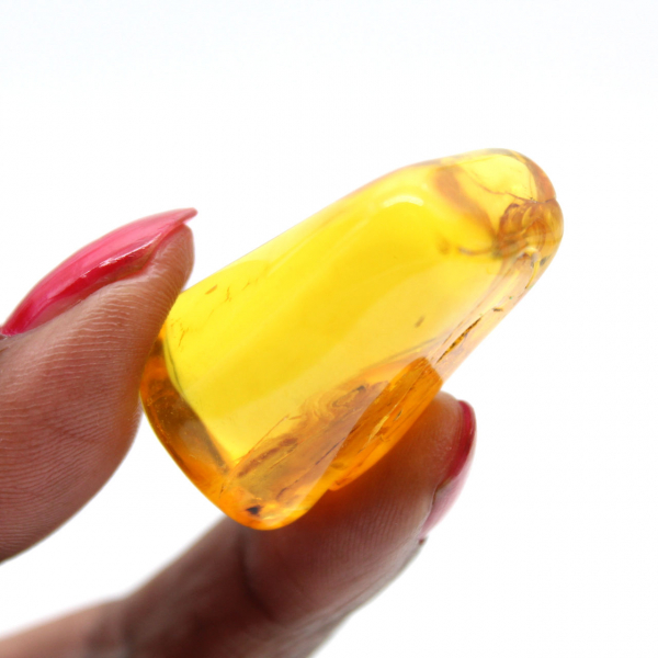 Mini Galet Ambre Jaune Baltique – Fossile pour Décoration